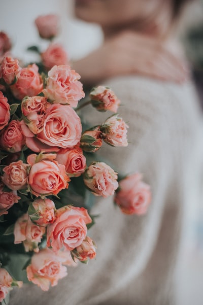 粉色的玫瑰在白色的纺织品
